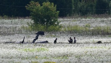 Rusi tvrdia, že za pádom stíhačky Su-57 je porucha. Ak sa potvrdí ukrajinská verzia, bude to pre Moskvu veľká hanba