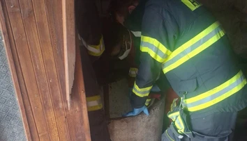 Inšpektori prišli na základe anonymného podnetu preveriť stav psa. V studni sa im naskytol smutný pohľad