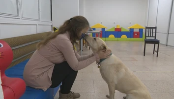 Linda trpí vzácnou fóbiou. Aj keď spĺňa kritériá, štát jej asistenčného psa nepreplatí