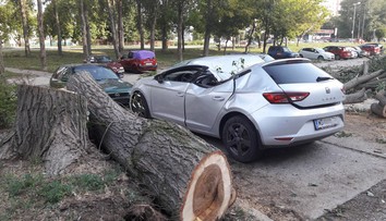 Fotografie od vás: Veterná smršť ničila, čo jej prišlo do cesty