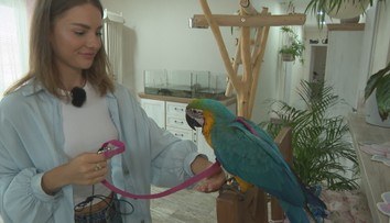 Mirka z Ruže má doma celý zverinec: Neuveríte, aké zvieratko si zaobstarala najnovšie