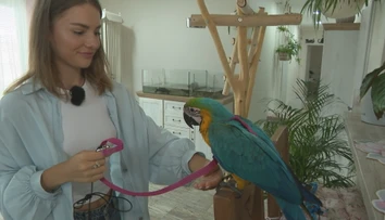 Mirka z Ruže má doma celý zverinec: Neuveríte, aké zvieratko si zaobstarala najnovšie
