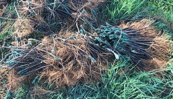 Neprešlo ani 24 hodín a lup z krádeže, ktorá nemá obdobu, sa našiel