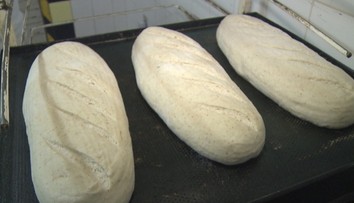 Chlieb sa stal diskutovanou potravinou. Je lepší biely alebo tmavý?