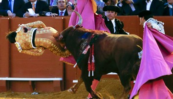 Bolesť, akú ste nevideli. Na veľké prekvapenie to matador rozchodil