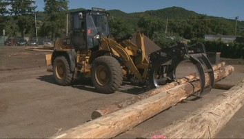 Čo sa deje so slovenským drevom? Naše lesy spustili novú technológiu na sledovanie jeho presunu