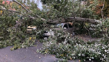 Veterná búrka Mortimer vyvracala v Česku stromy. Hlásia aj výpadky energie