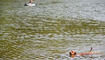 Skrytá hrozba v rekreačnej oblasti na západe Slovenska. Vo vodnej nádrži potvrdili výskyt nebezpečného parazita
