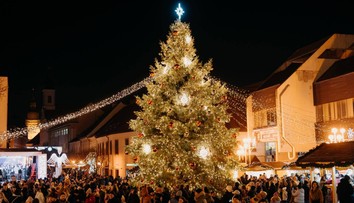 Slováci rozhodli, ktoré mesto má najkrajší vianočný stromček. Súboj o prvé miesto bol mimoriadne tesný