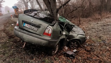Dostal šmyk a narazil do stromu. Vodič nemal šancu náraz prežiť