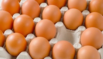 Drahšie neznamená lepšie. Vedci ukázali, v čom sa líšia bio, klietkové a vajcia z výbehu