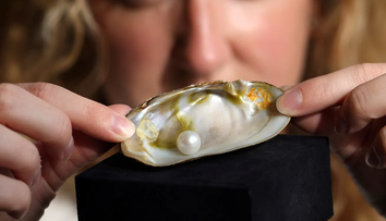 Rybár ani na smrteľnej posteli neprezradil, kde ju našiel. Jedinečná perla sa vydražila za desaťtisíce