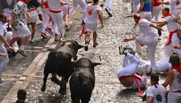 FOTO+VIDEO: V Pamplone sa konal tradičný beh s býkmi. Od roku 1924 si vyžiadal už 16 životov