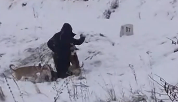 Psy hrýzli a trhali zo všetkých strán. Kynológ pomenoval moment, kedy napadnutý muž prišiel o možnosť na útek