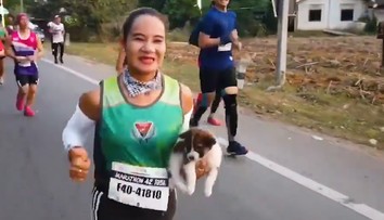 Osudové stretnutie: Počas maratónu našla na ceste šteniatko. Bežala s ním 19 km