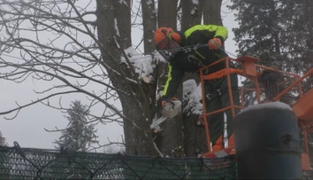 Na strednom Slovensku pribudnú samosprávam starosti so stromami a kríkmi. Energetici im už nepomôžu