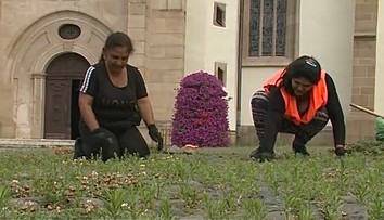 Dlažbu v centre Prešova čistia od buriny ručne. Mesto odmieta používanie chemických prípravkov