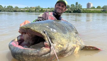 VIDEO: Kapitálny úlovok rybára. Zo známej rieky vytiahol monštruózneho sumca s rekordnou dĺžkou