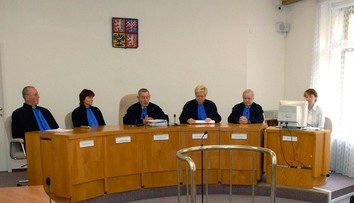 Češka odmietala dať zaočkovať syna, kŕmila ho iba vegetariánsky. Najvyšší súd jej odobral rodičovské práva