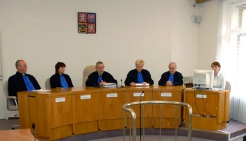 Češka odmietala dať zaočkovať syna, kŕmila ho iba vegetariánsky. Najvyšší súd jej odobral rodičovské práva