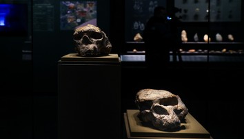 Milión rokov stará lebka prepisuje históriu evolúcie. Ľudia chodili po Zemi skôr, ako sme sa učili v škole