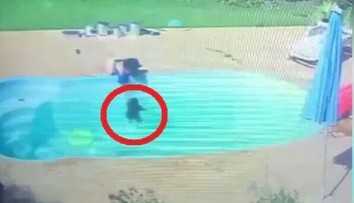 VIDEO: Chlapec (3) je ospevovaným hrdinom. Z bazéna vytiahol topiaceho sa kamaráta