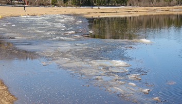Otrasný nález v močiari na hraniciach medzi Kanadou a USA. Objavili pozostatky šiestich tiel vrátane jedného dieťaťa