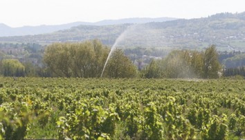 Dostali sme sa do unikátneho sadu. Plní jednu mimoriadne dôležitú úlohu