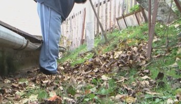 Nie každý má možnosť opadané lístie kompostovať. O tomto bezplatnom riešení mnohí ani netušia