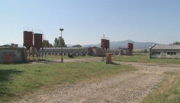 Príbeh prvého veľkochovu na Slovensku, ktorý zlikvidoval africký mor