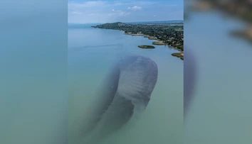 Balaton sa dramaticky mení. „Ostrov opíc“ je späť, voda mizne pred očami