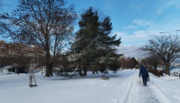 Počasie zaplnilo urgenty na východe. Odborníci radia, čo robiť pri pošmyknutí