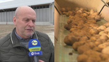 Slovenskí farmári majú problém. Zemiaky sú extrémne lacné, začali s nimi robiť úplne niečo iné