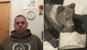Zachraňujeme medvieďatá, no strieľame ich matky. Slovenský odborník sa pýta, či to dáva zmysel