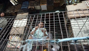 Ešte väčšia pohroma ako covid-19. Indickí vedci predpovedajú, ako by mohla vypuknúť ďalšia pandémia