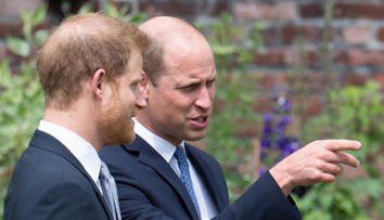 Odborníci na reč tela sledovali princov: Čo sa medzi nimi dialo naozaj?