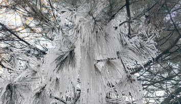 Čaká nás nezvyčajne tuhá zima? Počasie na severnej pologuli dramaticky ovplyvní anomália