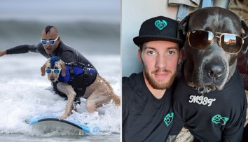 Prečo sa psy často podobajú na svojich majiteľov? Môže byť za tým psychologický faktor