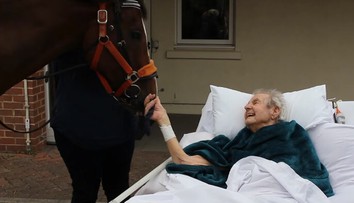 Dedkovi splnili jediné želanie. Radostný príbeh má však smutný koniec