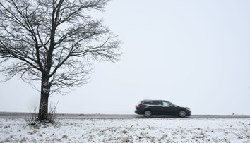 Hmla naďalej trápi východné Slovensko