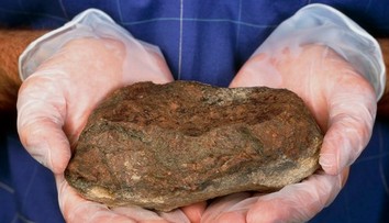 FOTO: Muž si desať rokov uchovával zlatý kameň. Nakoniec zistil, že je to niečo oveľa cennejšie