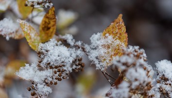 Teplé dni sa blížia ku koncu. Vpád zimy na Slovensko prinesie prvé snehové zrážky