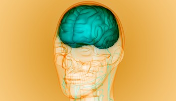 Ako súvisí Parkinsonova a Alzheimerova choroba s rodným jazykom? To zisťujú vedci