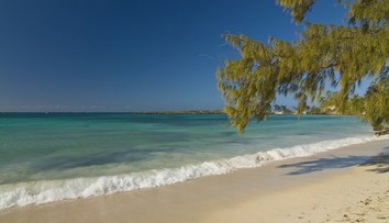 Tragédia v dovolenkovom raji: Hromadná otrava si vyžiadala desiatky životov