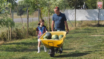 Už aj na severe Slovenska sa darí melónom. Pestovateľ pri Púchove ich zbiera na tony