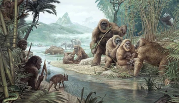 Najväčší primát histórie mal k ľuďom bližšie, než sme si mysleli. Nová štúdia mení pohľad na gigantopiteka