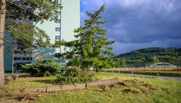Studený front zrazí teploty, hrozí aj silný vietor. Do konca týždňa však opäť vystúpia nad tridsiatku