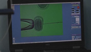 Umelé oplodnenie stojí nemalé peniaze. Pre mnohé ženy pritom ide o jedinú šancu na vlastnú rodinu