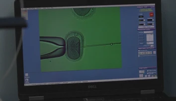 Umelé oplodnenie stojí nemalé peniaze. Pre mnohé ženy pritom ide o jedinú šancu na vlastnú rodinu