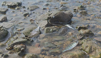 Liptov a Orava hlásia pokles výdatnosti zdrojov pitnej vody. Zisťovali sme, či sú ohrozené aj domácnosti